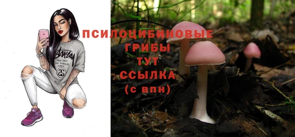 ешки Краснослободск