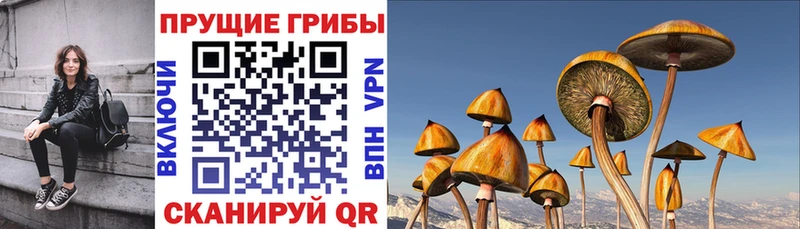 Купить закладки  Каневская  Галлюциногенные грибы мухоморы 