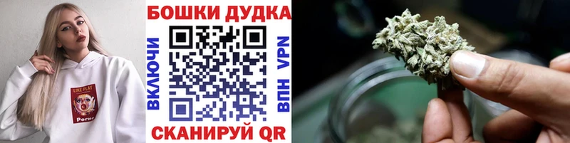 Бошки марихуана планчик  Купить где  Каневская 